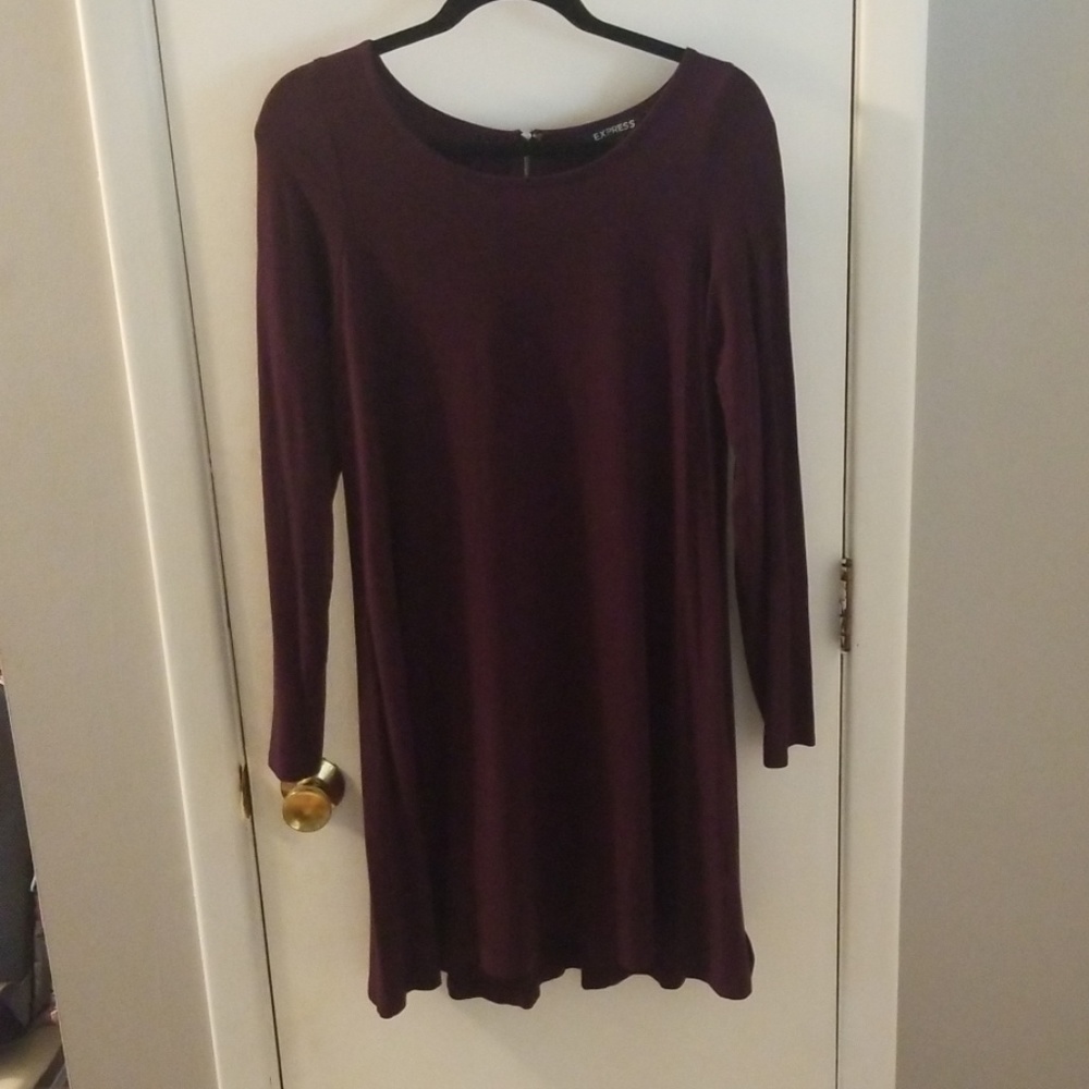 Plum express dress